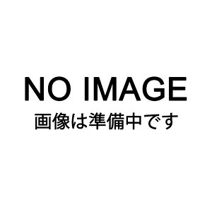 EBM アンブレラバッグ シルバー UBB-L-SV 6571210