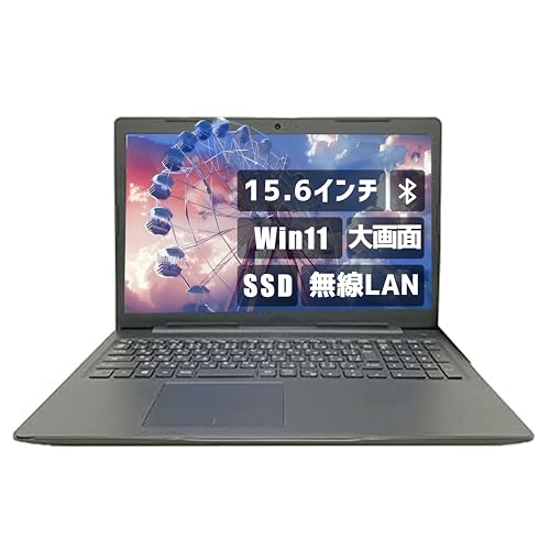 【整備済み品】（大画面 15.6インチ Office搭載） Aurora&Stars DellノートPC win11 Vostro 3581 i3 七世代 カメラ内蔵 高速SSD ...