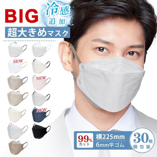 国内最大！冷感マスク 不織布 大きめ 立体 マスク 大きいサイズ メンズ 3Dマスク バイカラー 男性 個包装 30枚 耳痛くならない 6ｍｍ平ゴム 飛沫防止 花粉対策